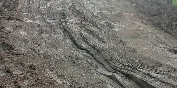 LSM FPSR SIAP LAPORKAN ADANYA TAMBANG ILEGAL DIDESA MELIRANG